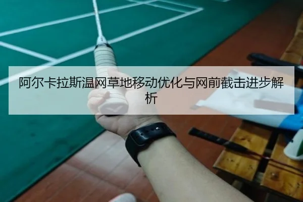 a-er-ka-la-si-wen-wang-cao-di-yi-dong-you-hua-yu-wang-qian-jie-ji-jin-bu-jie-xi-2-148.jpg