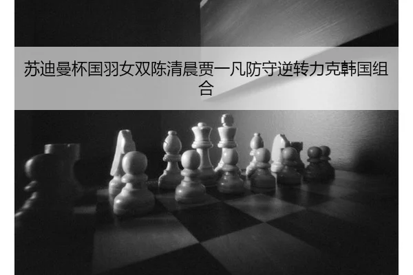 su-di-man-bei-guo-yu-nv-shuang-chen-qing-chen-jia-yi-fan-fang-shou-ni-zhuan-li-ke-han-guo-zu-he-3-633.jpg