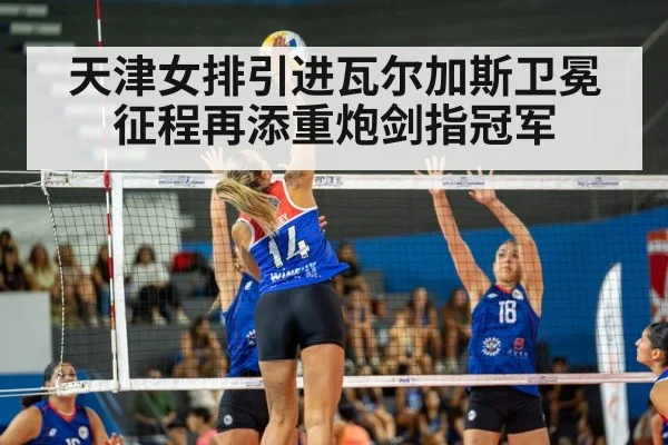 天津女排引进瓦尔加斯卫冕征程再添重炮剑指冠军